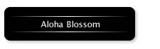 Aloha Blossom アロハブロッサム