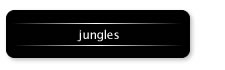 jungles ジャングル